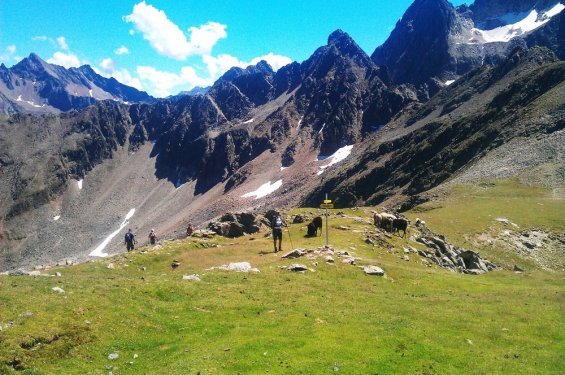 Wandelaars in de bergen